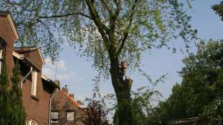 bomen rooien hovenier Heelsum Heelweg Heerde Heiveld Helhoek Hell Hellouw Hemmen Hengelo Henxel Hernen Herwen Herwijnen Heteren